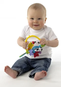 Aktivitetsleg Med Sugekop Aktivitetslegetøj