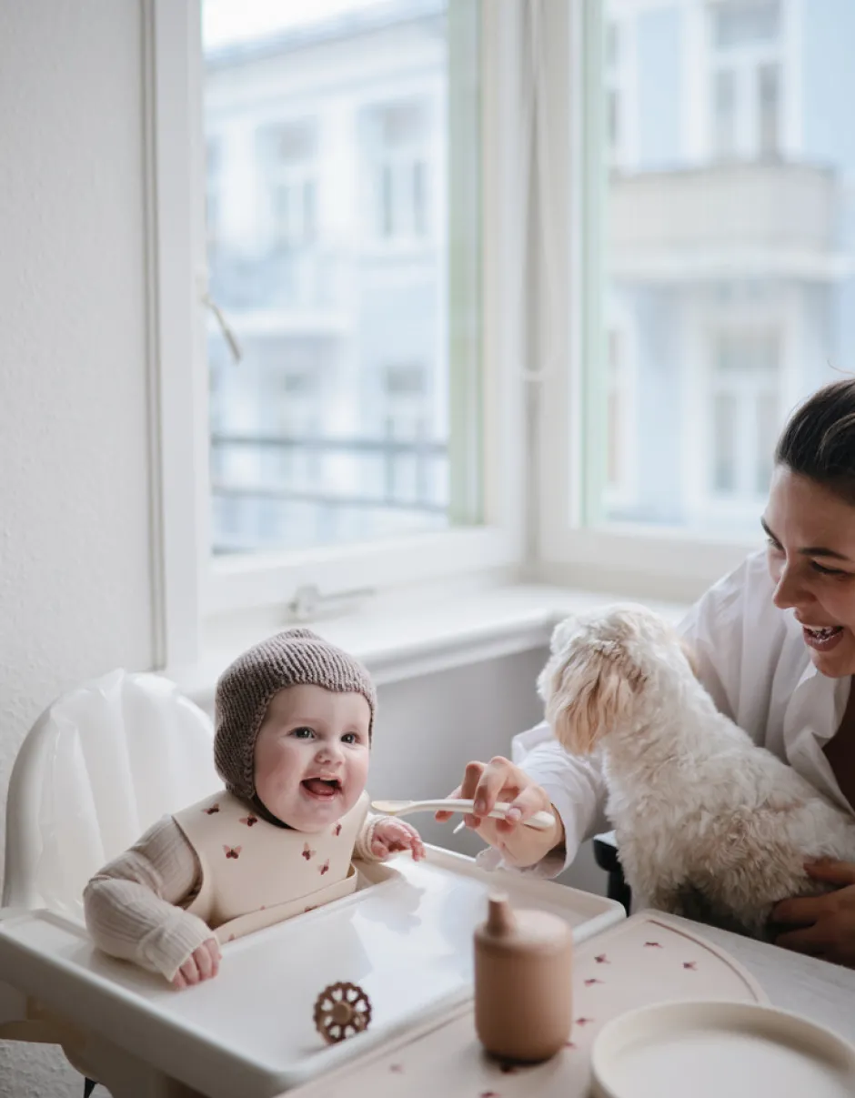 Clearance Babyskeer 2-Pak - Blush/Shifting Sand Service