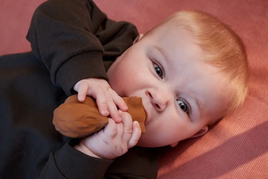 Discount Bidedyr i naturgummi - egernet sonja Bideringe & Rangler