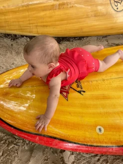 Clearance Blebadedragt - Neopren - Frill - Berry - Dots - BERRY Badedragter & Bikinier