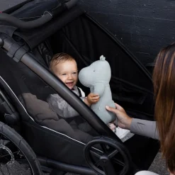 Hot Chariot Sport 2 double - Natural Gold Cykelvogne