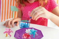 New Crystal Growing / Unicorn Crystal Terrarium Eksperimenter