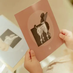 Outlet Dyrlæge klinik Rolleleg