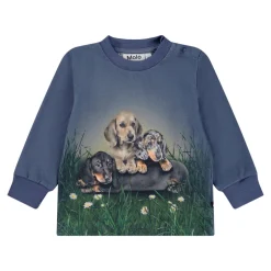 Online Eloy Sweatshirt - 9679 Cardigans, Veste & Trøjer