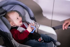 Sale FLAVORILLO 2 i 1 frugtsut og bidering - grøn Foodfeeder Og Frugtsut