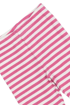 Online Fro Rib Leggings - IBIS ROSE Leggings
