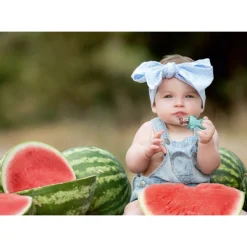 Clearance Frugtsut bidering med beholder Foodfeeder Og Frugtsut