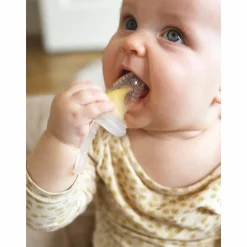 Discount Frugtsut med mini fryseform - Rose Foodfeeder Og Frugtsut