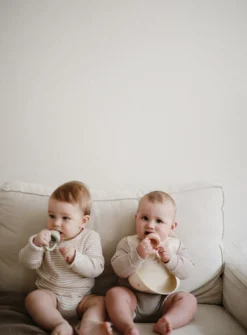 Clearance Frugtsut 2-Pak - Sage Foodfeeder Og Frugtsut