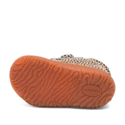 Hot Hale V - 1030 Begyndersko