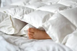 Discount Kapok Junior Hovedpude Børn Puder