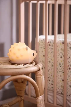 New LED natlampe - Pindsvinet Henning Børn Lamper