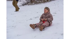 Numse slæde ass. farver Leg I Haven