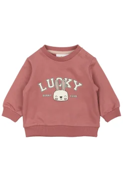 Discount Pheba Sweatshirt - Withered rose Cardigans, Veste & Trøjer