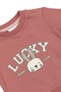 Discount Pheba Sweatshirt - Withered rose Cardigans, Veste & Trøjer