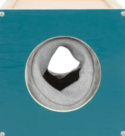 Sale Sanse Box Eksperimenter