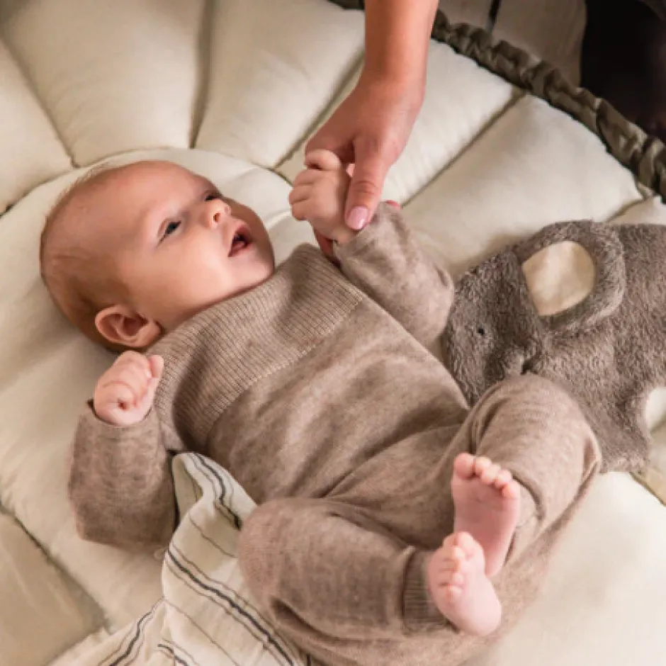 Online lift med kaleche - Dark olive Lifte