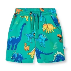 Best Shorts - Teal Shorts
