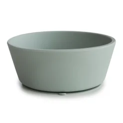 Silicone Bowl (Cambridge Blue) Service