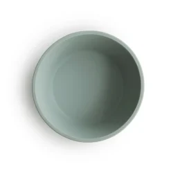 Silicone Bowl (Cambridge Blue) Service